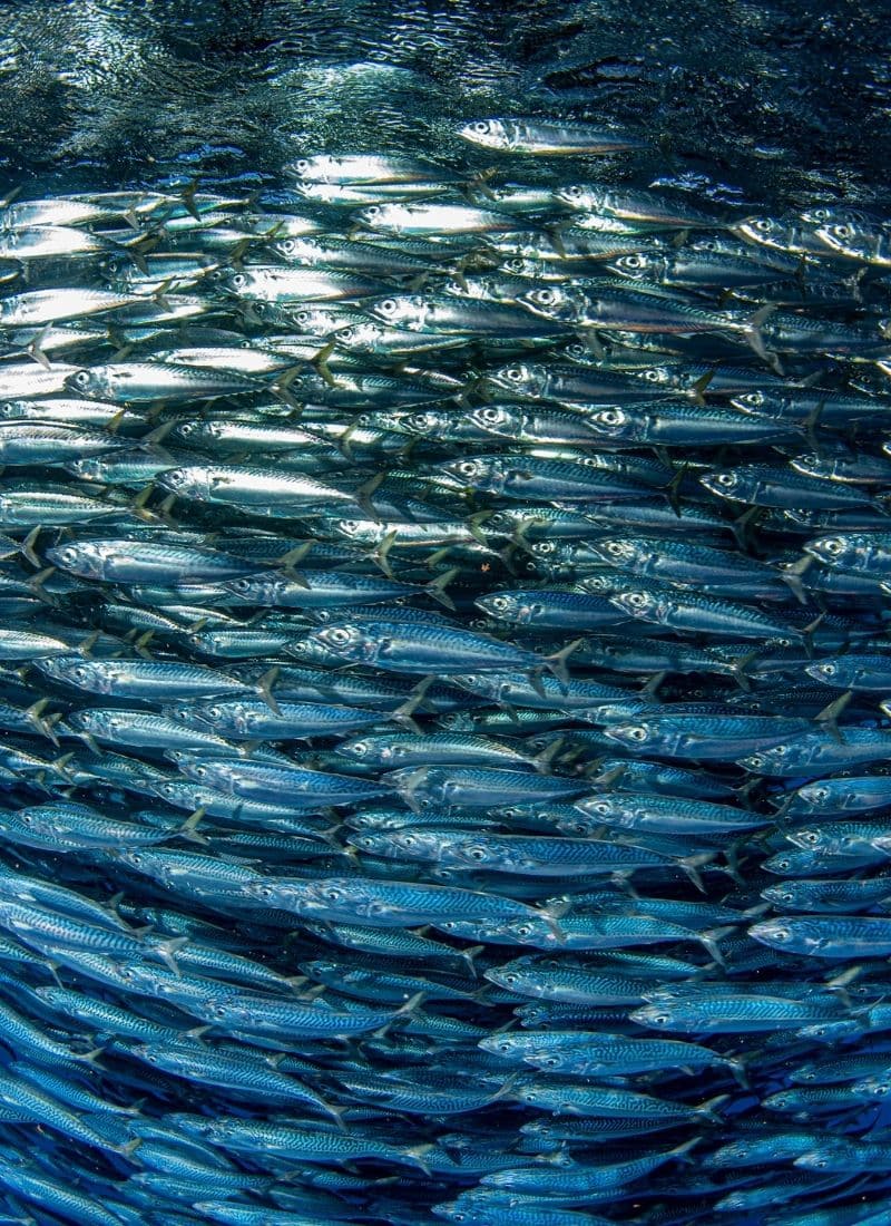 Poor Guy - Theater am Werk