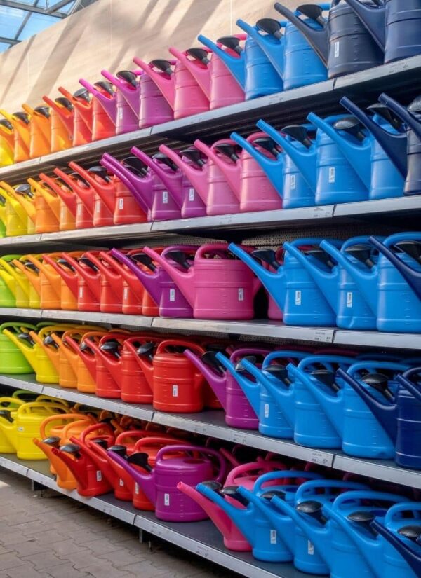 The Chosen One - Theater am Werk