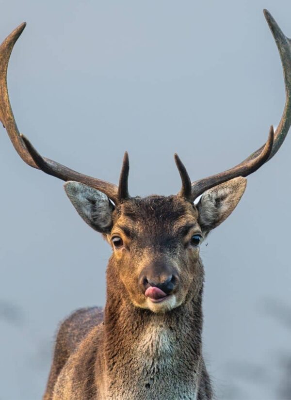 Erben - Theater am Werk