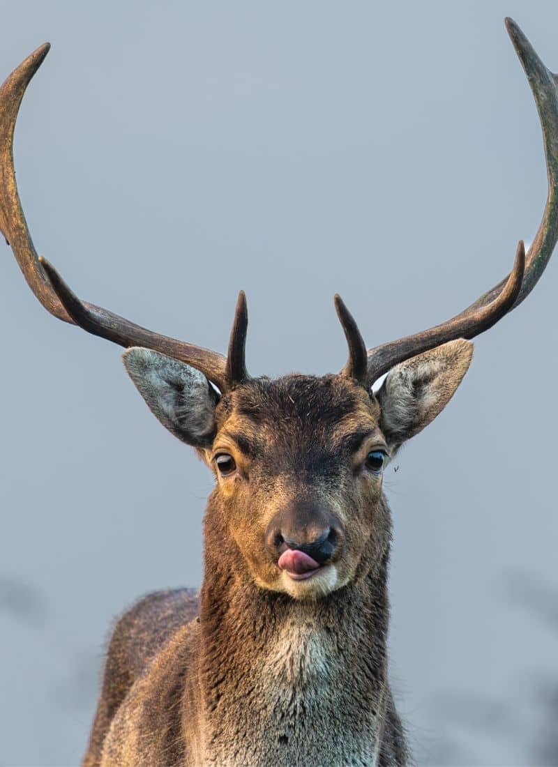 Erben - Theater am Werk
