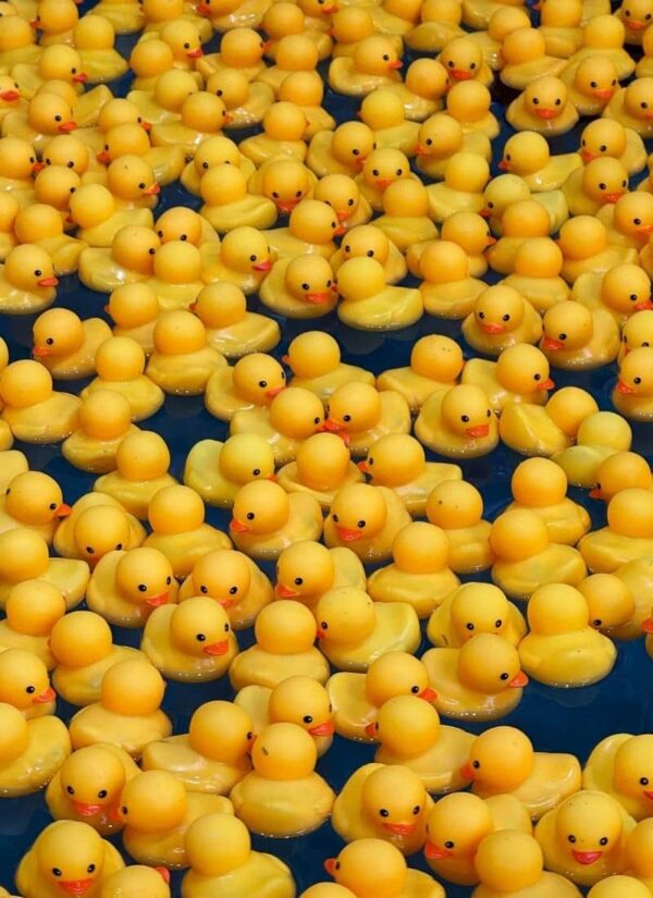 State of Empathy - Theater am Werk