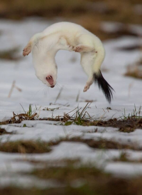 Tanz*Hotel - Theater am Werk