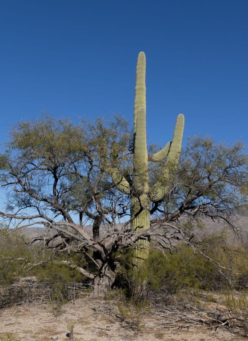 Wortstattnaechte - Theater am Werk