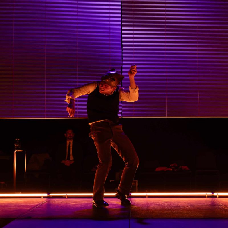 © Victoria Nararova