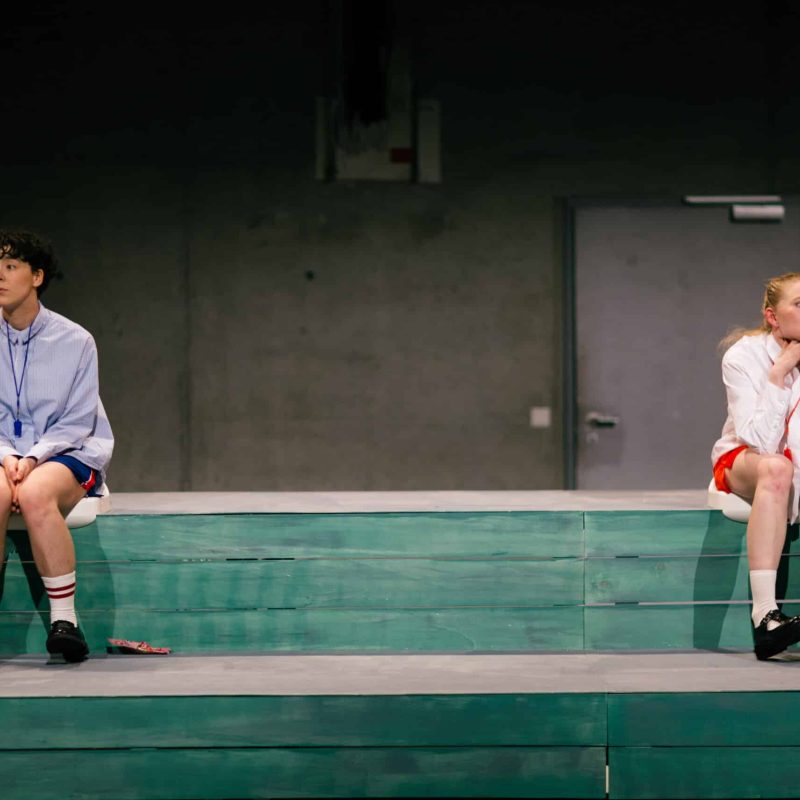 Presse_Piksi-Buch_©ApolloniaTheresaBitzan_5