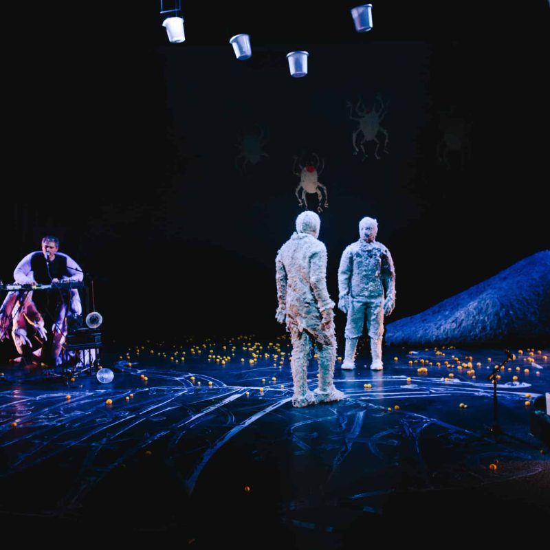 © Apollonia Theresa Bitzan